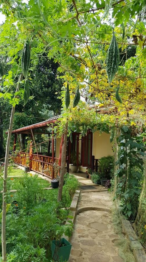 Happy Horizon Home Stay Ella Buitenkant foto